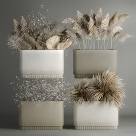 Collection of plants from dried flowers